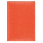 Eжедневник недатированный Birmingham 145х205 мм, без календаря, оранжевый